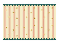 Paper Tablecloth with Thin Stripes and Gold Stars
