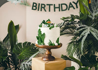 Dinosaur Birthday Candles